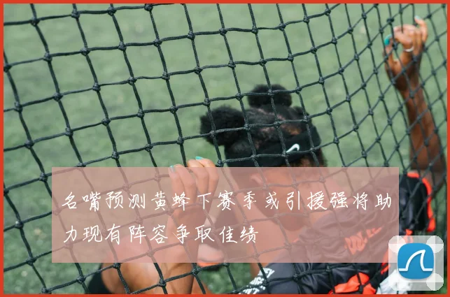 名嘴预测黄蜂下赛季或引援强将助力现有阵容争取佳绩