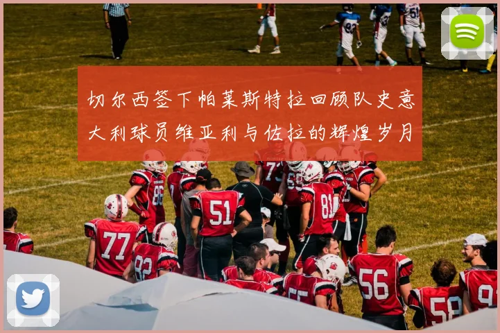 切尔西签下帕莱斯特拉回顾队史意大利球员维亚利与佐拉的辉煌岁月